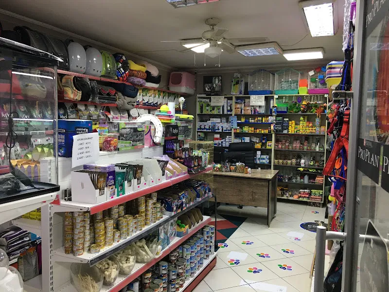 Gülüm Petshop foto 2
