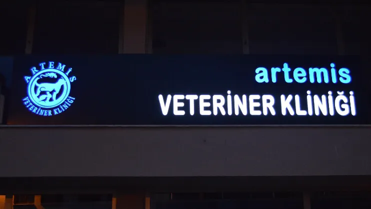 Efes Veteriner Polikliniği foto 2
