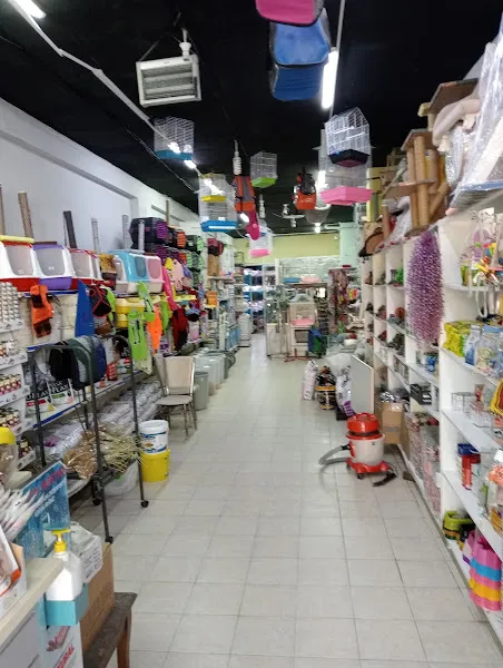 HüseyinGazi Petshop Akvaryum foto 2