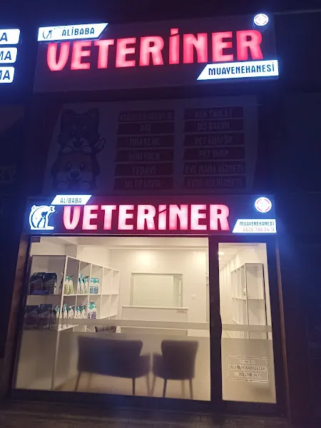 Sancaktepe Alibaba Veteriner Muayenehanesi foto 1