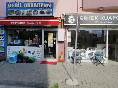 Beril Akvaryum Bolu’da bir Petshop