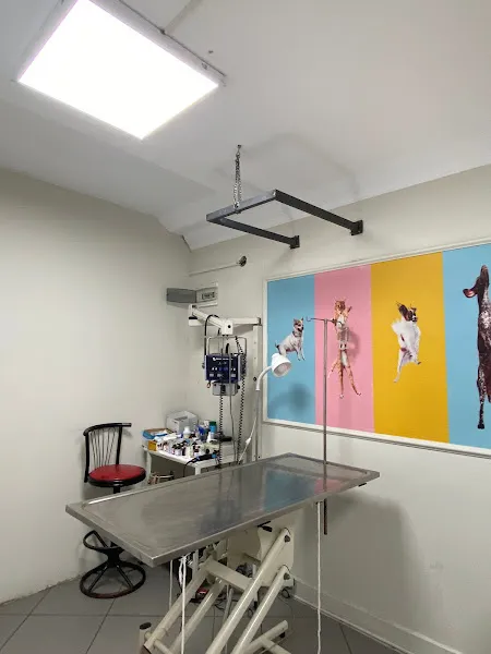 Pet Zone Veteriner Kliniği foto 2