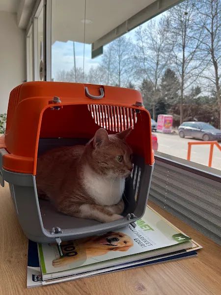 Fauna Veteriner Kliniği Kocaeli foto 2