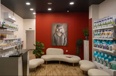 Viva Veteriner Tanı ve Tedavi Merkezi