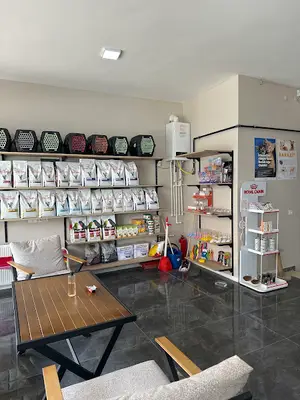 Baykuş Veteriner Kliniği/ Kuş Veteriner Kliniği