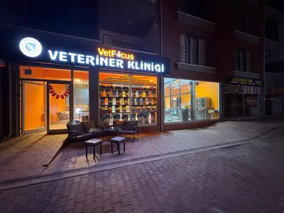 VetFocus Veteriner Kliniği