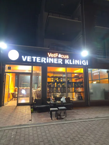 VetFocus Veteriner Kliniği foto 2