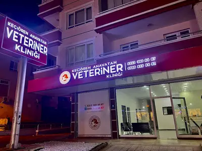 Keçiören Anavatan Veteriner Kliniği