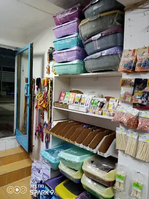 Deniz petsop Canik Samsun