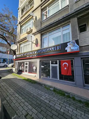 Tavşan Pet Veteriner Muayenehanesi