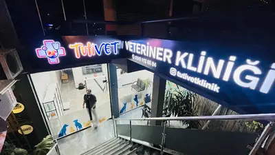 Tutivet Veteriner Kliniği