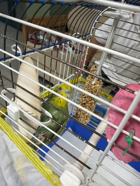 Çamlık Veteriner Kliniği (Acill) 7/24 (kuş,egzotik ,kedi ,köpek ) foto 2