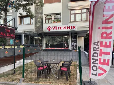 Londra Veteriner Kliniği 7/24 ACİL VETERİNER BAHÇELİEVLER