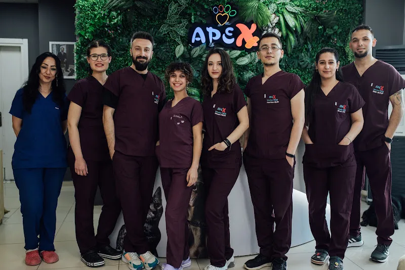 Apex Veteriner Kliniği foto 1