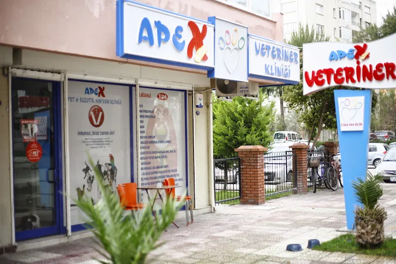 Apex Veteriner Kliniği foto 2