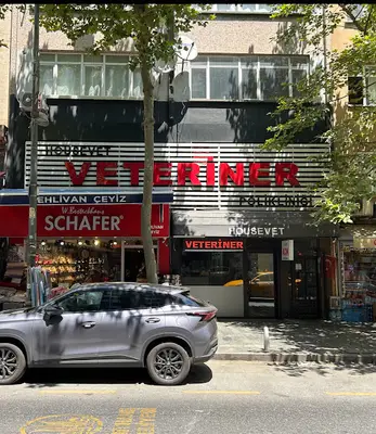 HOUSEVET ® | Veteriner Polikliniği • 7/24 ACİL • Kağıthane •