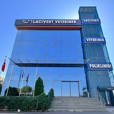 Özel Lacivert Veteriner 7/24 Acil