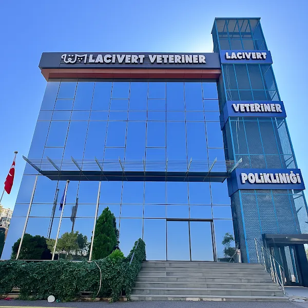 Özel Lacivert Veteriner 7/24 Acil foto 1