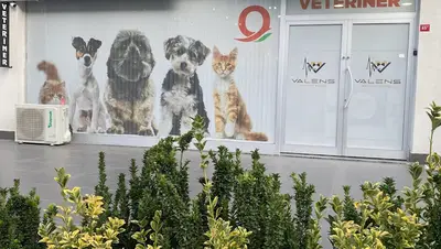 Valens Veteriner Kliniği
