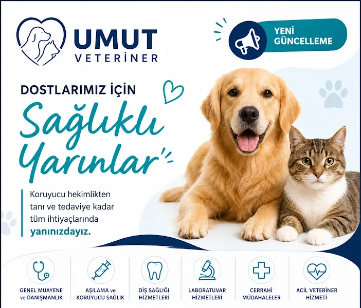 Umut veteriner kliniği foto 2