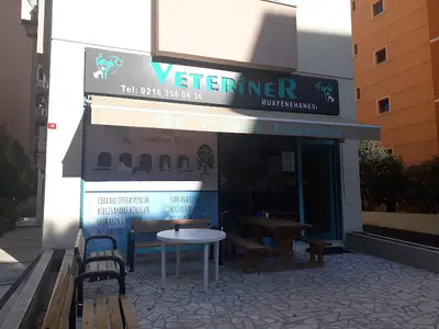 Trio Kadıköy Veteriner Kliniği