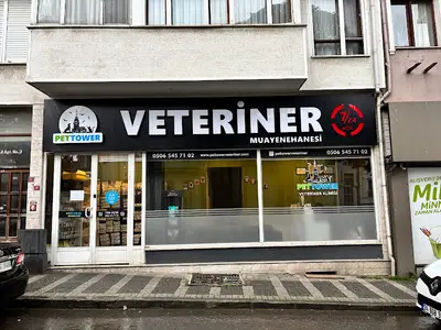 Üsküdar Pet Tower Veteriner Kliniği - 7/24 Açık Acil Nöbetçi Veteriner Kliniği