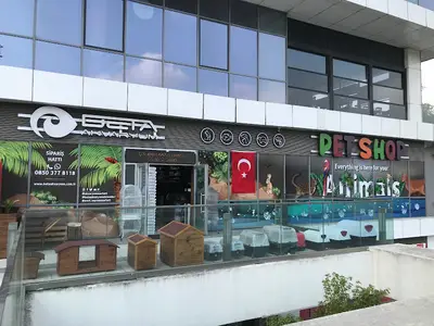Beta Akvaryum & Pet Shop