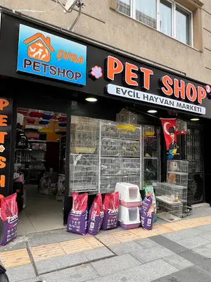 Yalova Şura Petshop