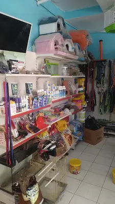 Tek Akvaryum