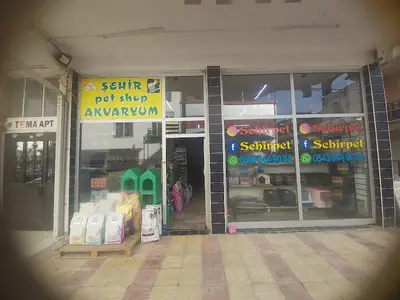 Şehir Petshop Akvaryum