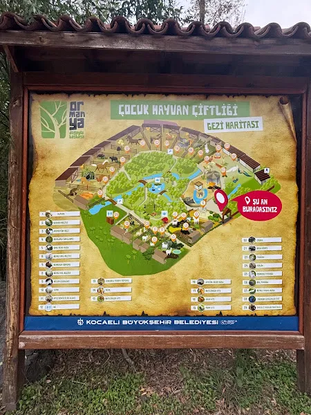 Çocuk Hayvan Çiftliği foto 1
