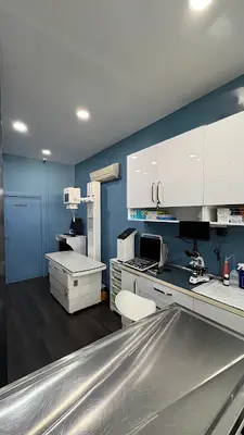Maltepe Lumos Veteriner Kliniği