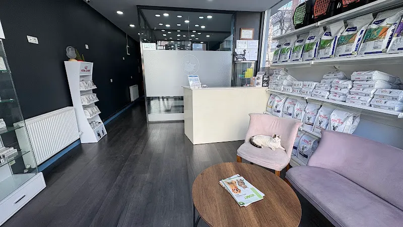 Maltepe Lumos Veteriner Kliniği foto 2