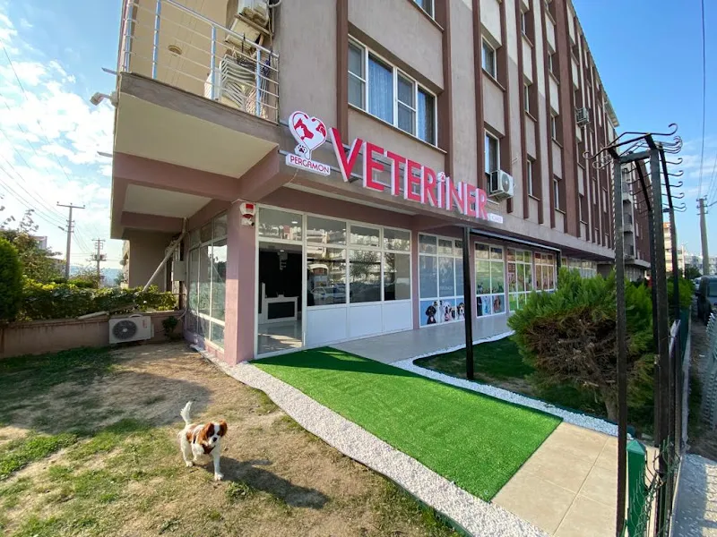 Pergamon Veteriner Kliniği foto 1