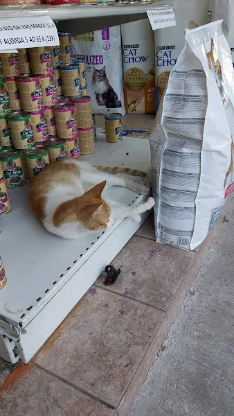 Golden Pet Shop Güzelyalı Göztepe stadı foto 2