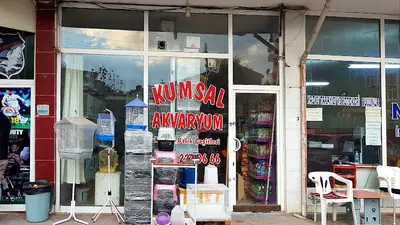 Kumsal Akvaryum