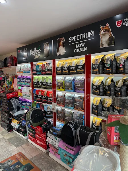 Pet Alfa Pet Shop foto 2