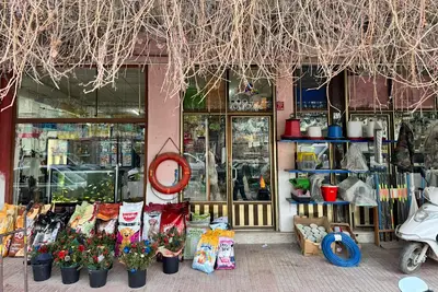 Umut Çiçekçilik, Akvaryum ve Kuş