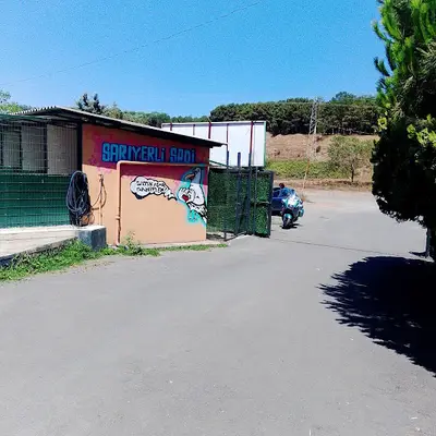 Sarıyer Belediyesi Safiye Kaya Sokak Hayvanları Geçici Bakımevi fotoğrafı