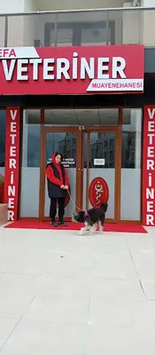 Bursa Defa veteriner Kliniği fotoğrafı