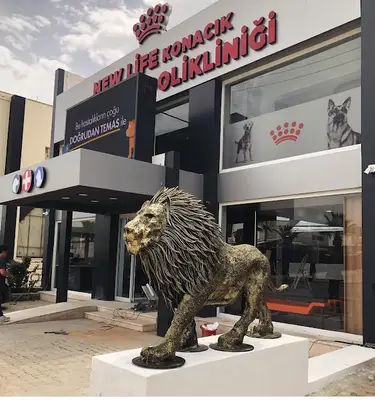 Bodrum Veteriner New life Konacık Veteriner Polikliniği