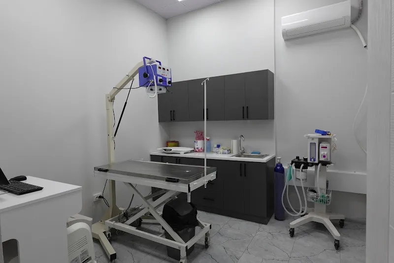 GoPetia Veteriner Kliniği foto 1