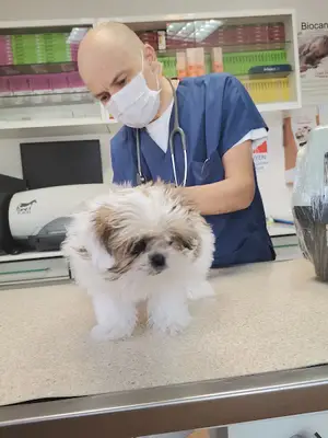 Hoşdere Veteriner Kliniği fotoğrafı
