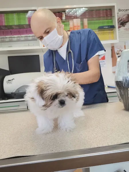 Hoşdere Veteriner Kliniği foto 1