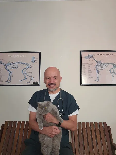 Hoşdere Veteriner Kliniği foto 2