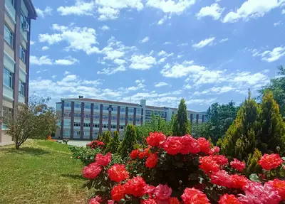 Çanakkale Onsekiz Mart Üniversitesi Yenice Meslek Yüksekokulu
