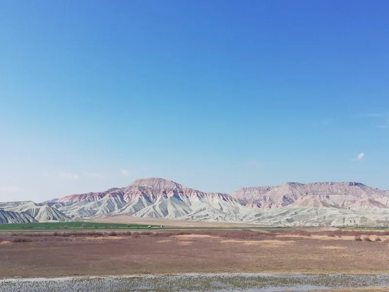 Davutoğlan Kuş Cenneti foto 2