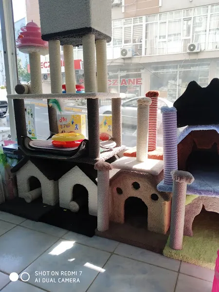 mırmırcık petshop foto 2