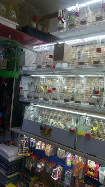 EVDAN AKVARYUM & PETSHOP foto 2