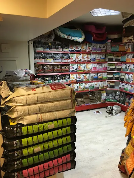 Zoicity Petshop & Pet kuaför foto 2
